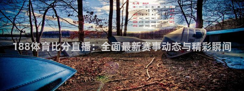 足球直播919：188体育比分直播：全面最新赛事动态与精彩瞬间