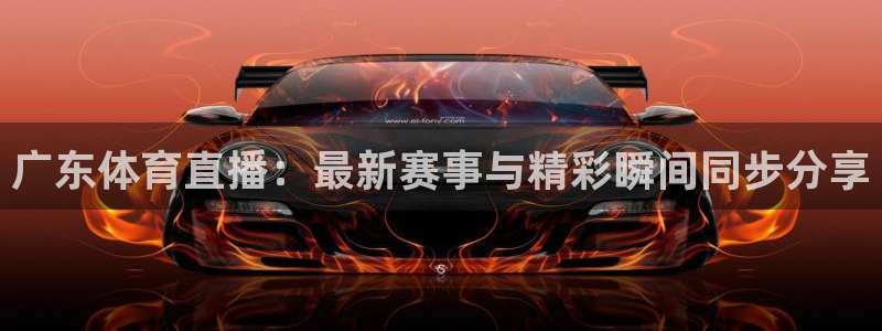 919nba直播：广东体育直播：最新赛事与精彩瞬间同步分享