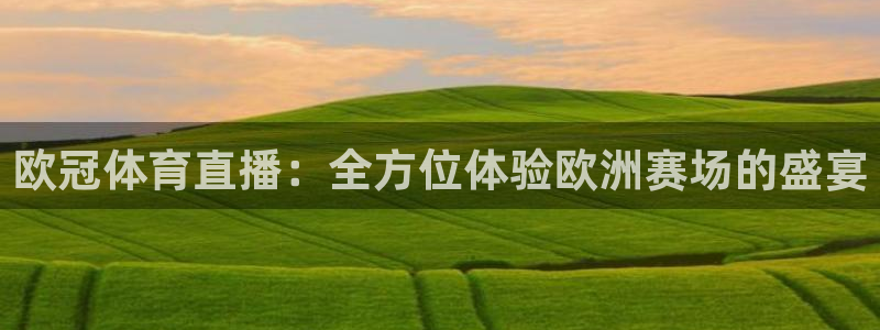 919直播平台：欧冠体育直播：全方位体验欧洲赛场的盛宴