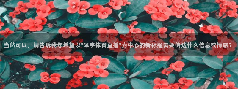 919zb体育直播：当然可以，请告诉我您希望以\
