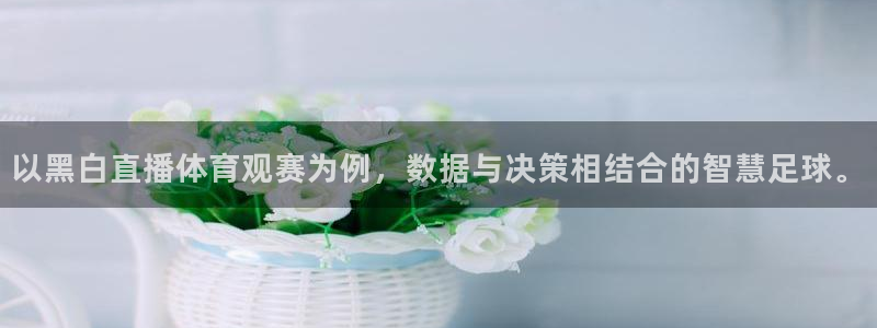919体育直播：以黑白直播体育观赛为例，数据与决策相结合的智慧足球。