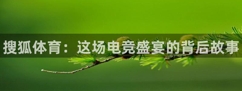 919体育直播苹果版：搜狐体育：这场电竞盛宴的背后故事