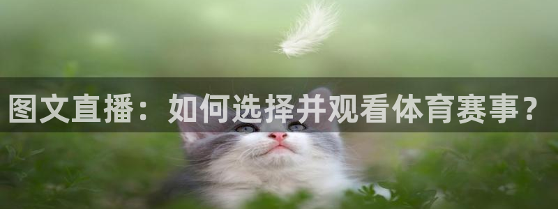 919体育：图文直播：如何选择并观看体育赛事？