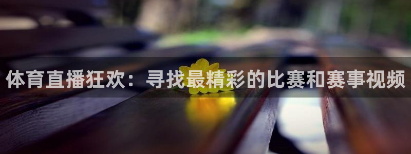 919球赛直播：体育直播狂欢：寻找最精彩的比赛和赛事视频