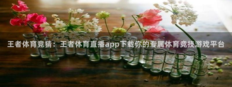919足球直播：王者体育竞猜：王者体育直播app下载你的专属体育竞技游戏平台