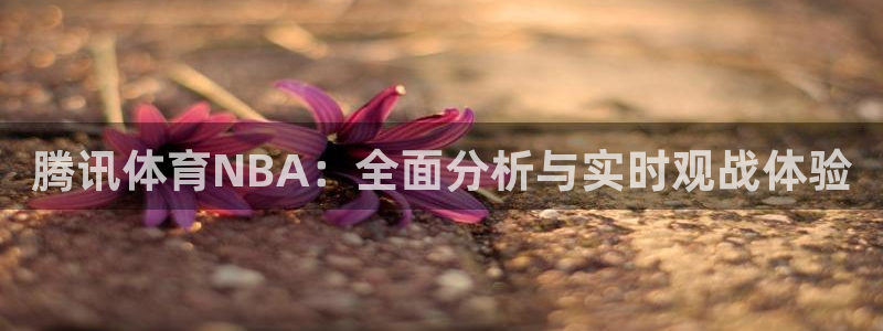 919直播看球：腾讯体育NBA：全面分析与实时观战体验