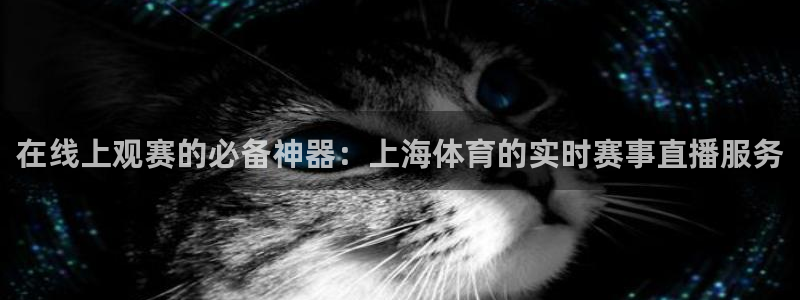 919直播间官网：在线上观赛的必备神器：上海体育的实时赛事直播服务