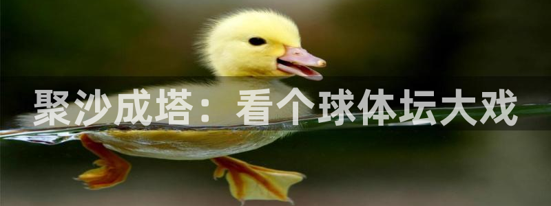 919直播平台官方网站：聚沙成塔：看个球体坛大戏